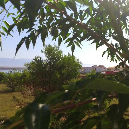 Aria Apartment Vir