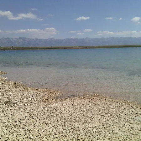 Aria * Vir